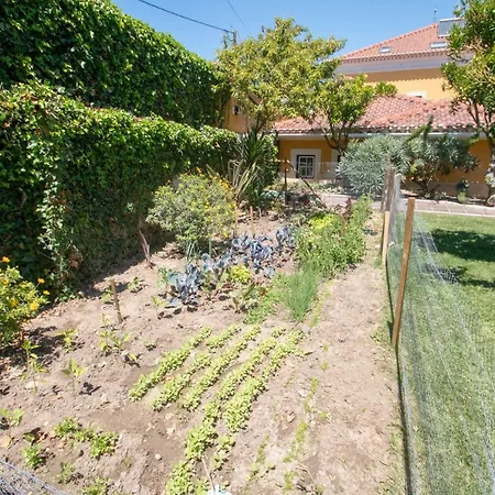 Quinta Da Azenha Pensión